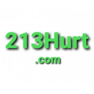 213Hurt.com Accident Lawyer Domain Location for Los Angeles $1,000 Opening Bid