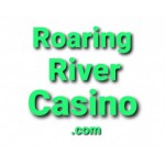 RoaringRiverCasino.com Domain in Auction