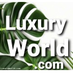 LuxuryWorld.com.com Auction for Domain only