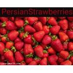 PersianStrawberries.com Buy 100% of all rights for $10,000 plus 5% of all rights