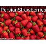 PersianStrawberries.com Buy Out 100% of all rights to the Domain Make Offer