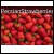 PersianStrawberries.com Buy Out 100% of all rights to the Domain Make Offer